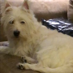 Meet your Posher, Joseph